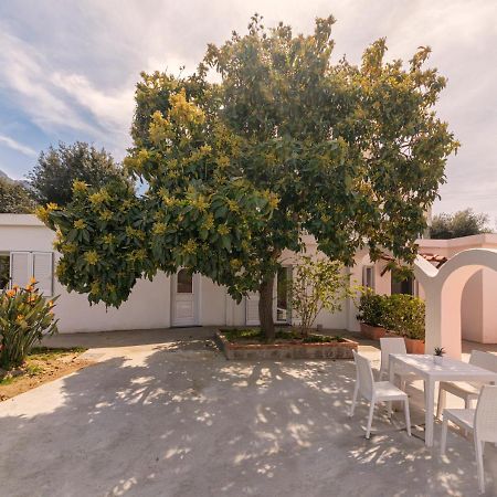 Casa Yucca Forio (Isola d'Ischia) Exterior foto