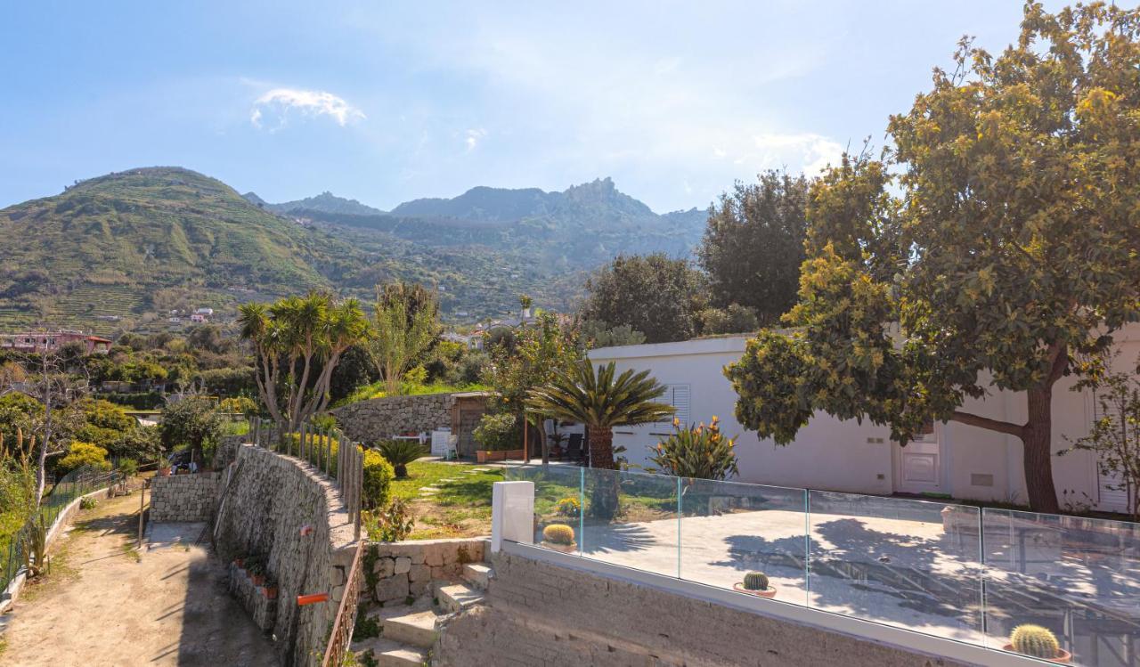 Casa Yucca Forio (Isola d'Ischia) Exterior foto
