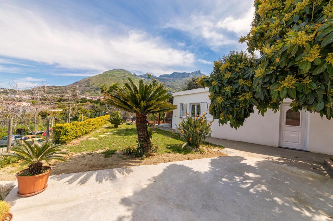Casa Yucca Forio (Isola d'Ischia) Exterior foto