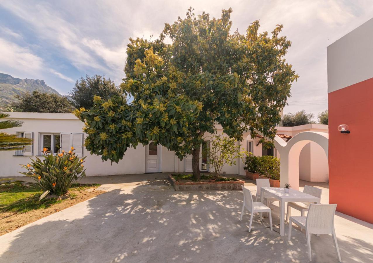 Casa Yucca Forio (Isola d'Ischia) Exterior foto